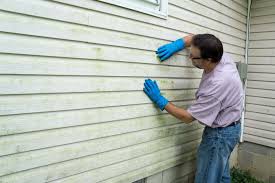 Best Storm Damage Siding Repair  in Garyville, LA